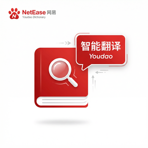 有道词典网络安全术语查询方法 - 网易有道词典